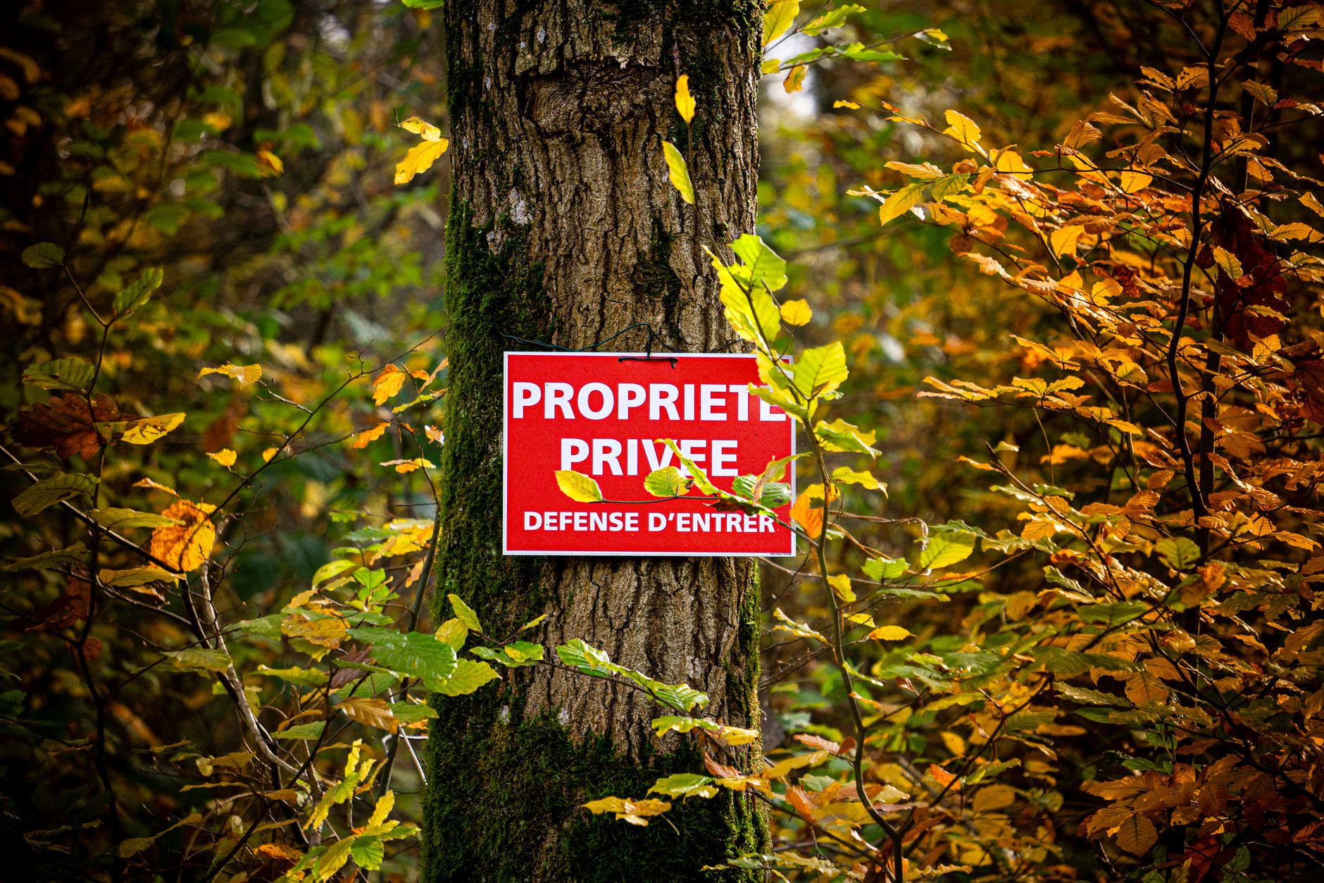 Détective privé à Brest